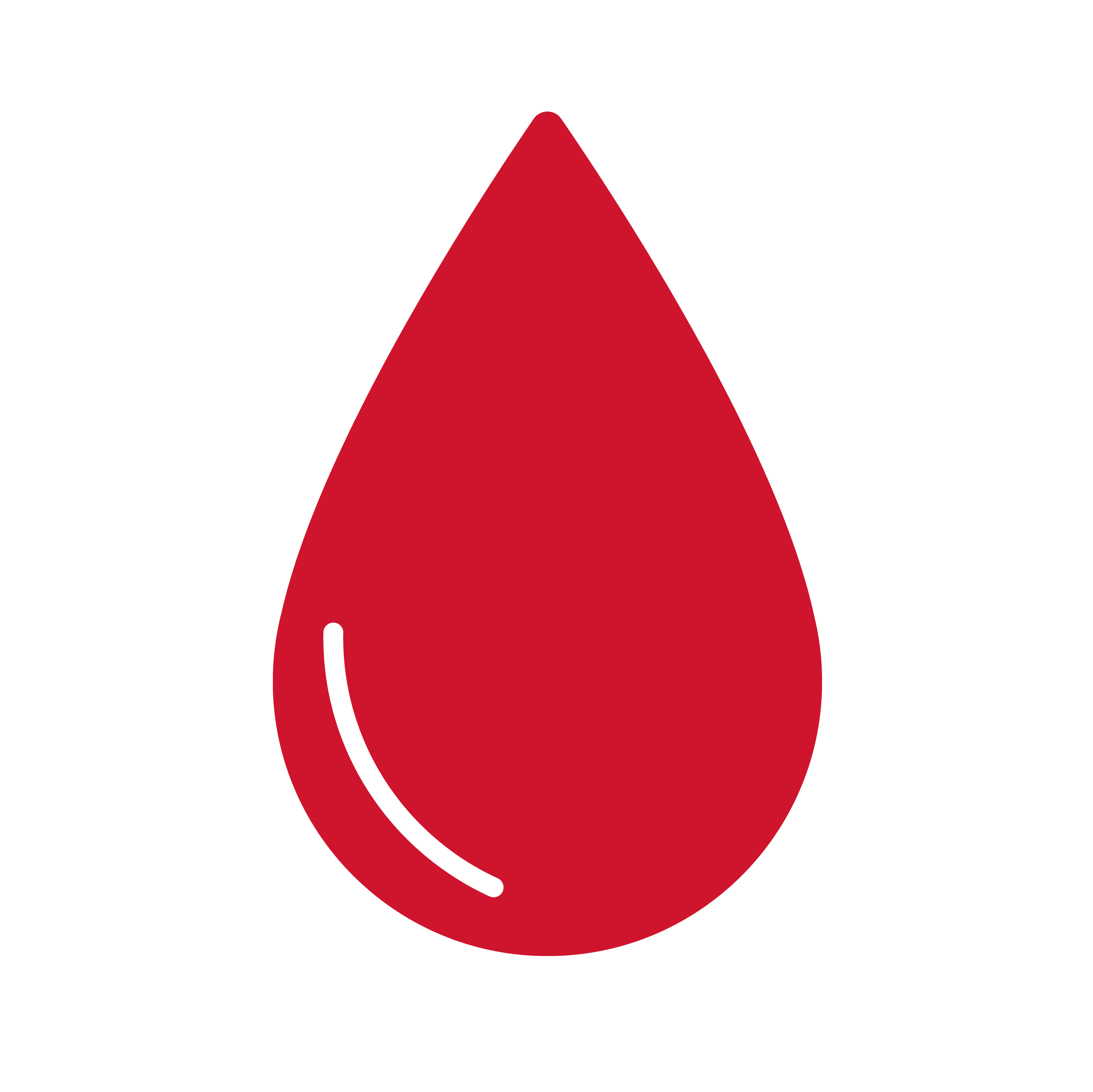 Dorchester County Summerville Donate Blood The Blood Connection