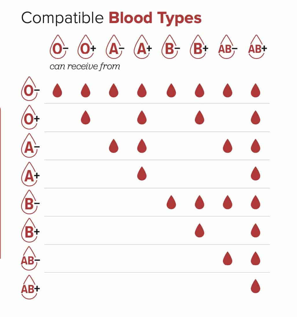 Blood Type Facts - Donate Blood - The Blood Connection