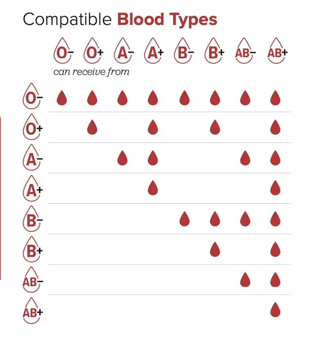 Tell Me About B Positive Blood Shop Emergencydentistry